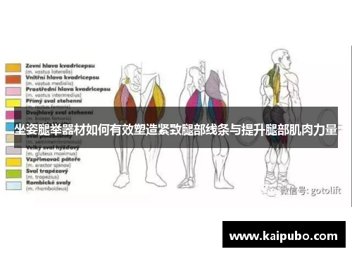 坐姿腿举器材如何有效塑造紧致腿部线条与提升腿部肌肉力量