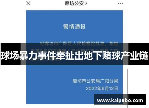 球场暴力事件牵扯出地下赌球产业链
