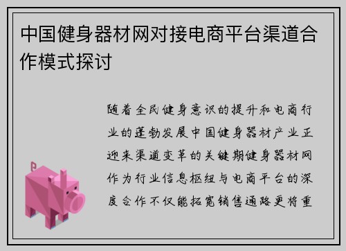 中国健身器材网对接电商平台渠道合作模式探讨